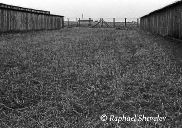 sites/default/files/The grass, Majdanek 2_0.jpg