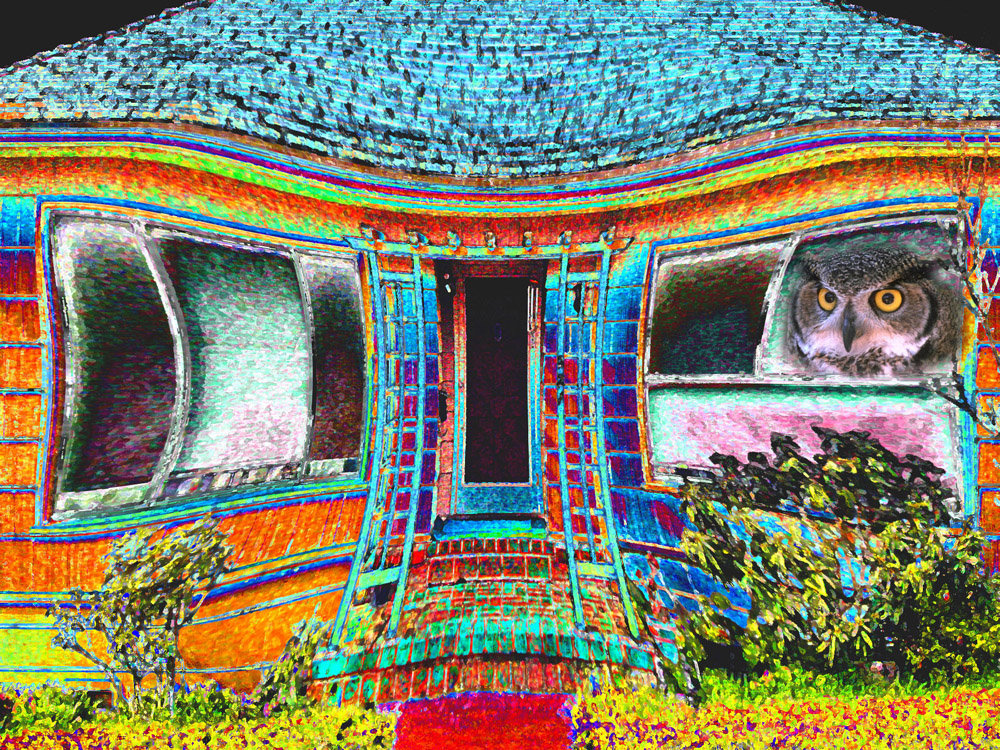 Owl House digital image art photograph by Raphael Shevelev