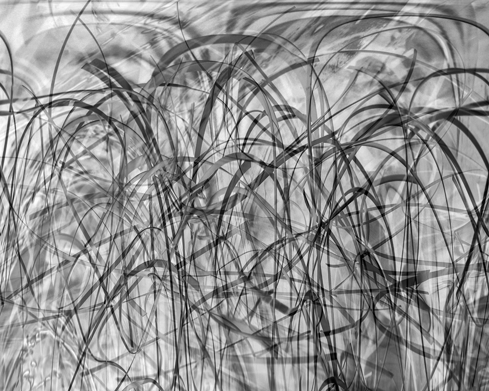 Shredded Landscape | Photograph by Raphael Shevelev
