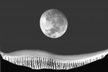 Moon Worshippers abstract image digital art photograph Raphael Shevelev